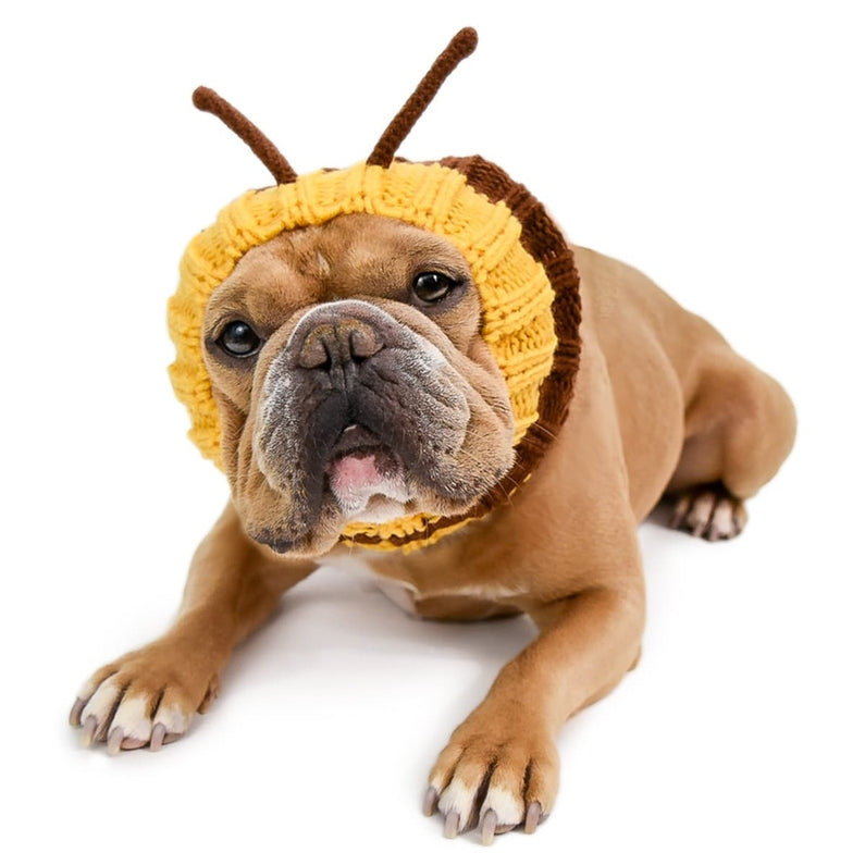 Bumblebee Dog Snood – MooShoes