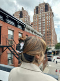 Hand-Painted Orange Cat Claw Hair Clip