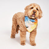 Soleil Tie Dye Dog Bandana from Found My Animal