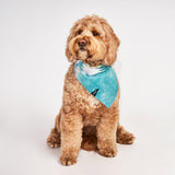 Jolie Tie Dye Dog Bandana from Found My Animal