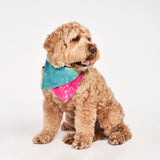 Jolie Tie Dye Dog Bandana from Found My Animal