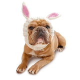 Bunny Rabbit Dog Snood