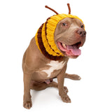 Bumblebee Dog Snood