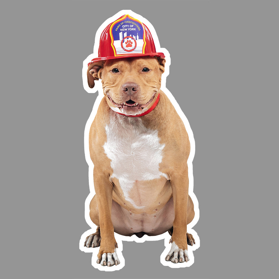 Paws of Firefighters Ash Sticker by Emmy Park