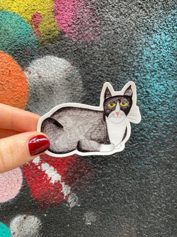 Jasper Cat Sticker from natchie