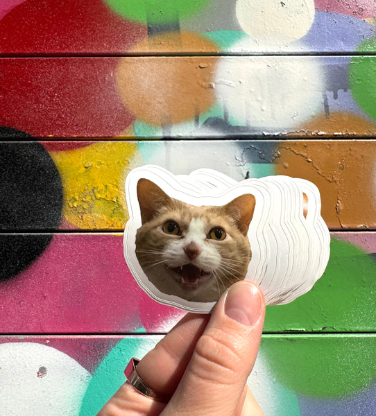 Shop Cat Georgie Sticker