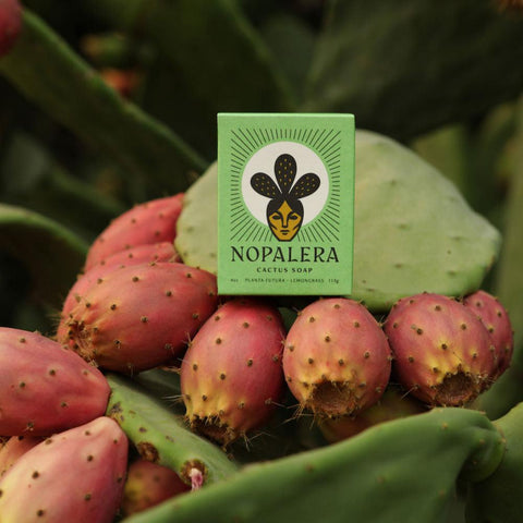 Lemongrass Cactus Soap from Nopalera