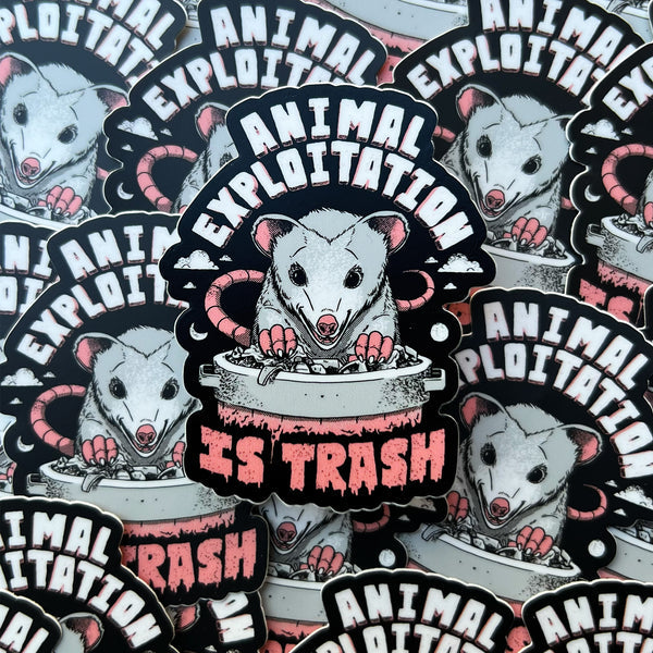 Trash Possum Sticker from Compassion Co.