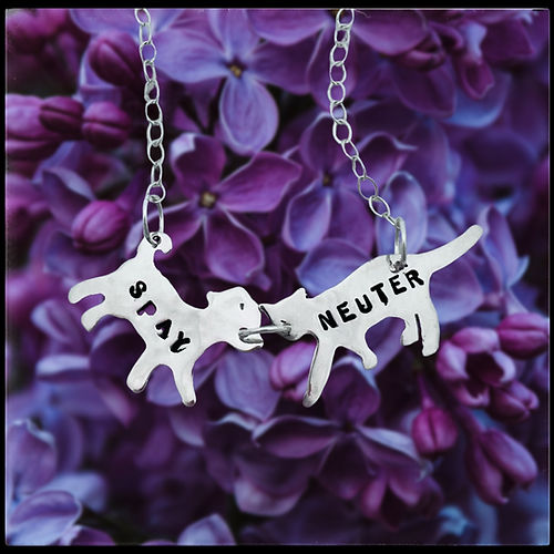 Spay and Neuter Necklace from Christy Robinson